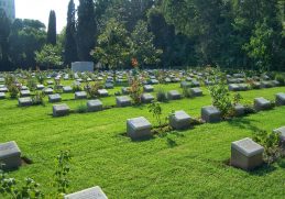 Deli Gibi Yükselen Dolar ve Google'da Yükselemeyen Biz