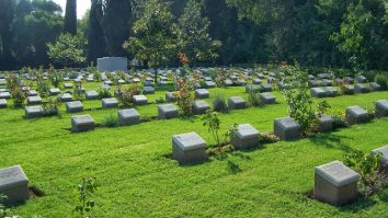 Deli Gibi Yükselen Dolar ve Google'da Yükselemeyen Biz