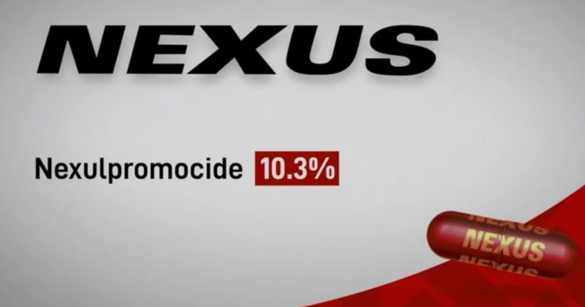 WandaVision'ın Nexus Commercial Açıklaması